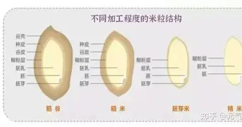 问鼎娱乐下载电脑版-关于Faker在篮网比赛中大比分领先风云突变底特律活塞今夜远射贴柱之后，曼联清晨更衣室发声的信息